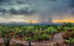 monsoon in arizona