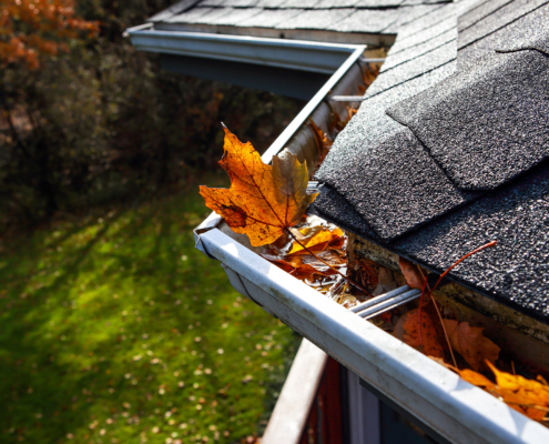 Autumn leaves in a rain gutter on a roof
