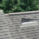 Image of a roof with missing shingles.