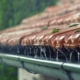 Image of a residential roof in heavy rainfall.